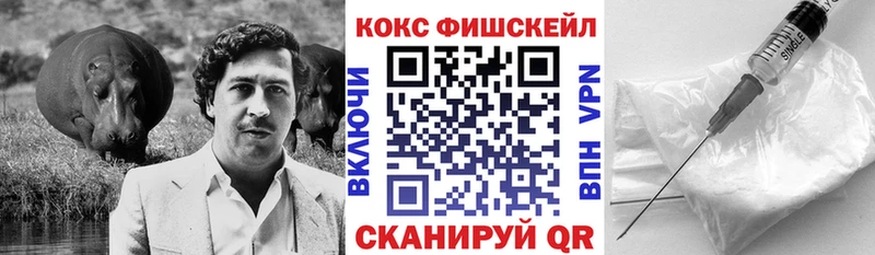 наркотики KRAKEN ТОР COCAIN Эквадор Мураши