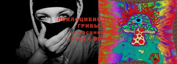 spice Алзамай
